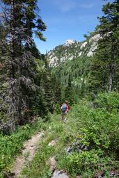 Pam on the well marked trail [sat jun 20 13:40:25 mdt 2015]